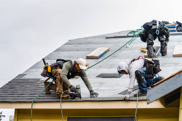 Professional Gutter Installation technician working in Westover, AL